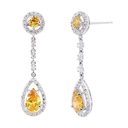 BME80782 - Dangle Earrings