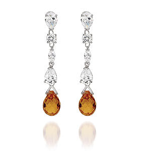 BME61555 - Drop Earrings