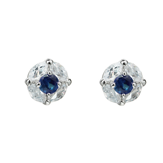 BME60744 - Stud Earrings