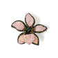 BMC80125 -  Mix Color Petal - 2-in-1 Pendant Necklace Brooch