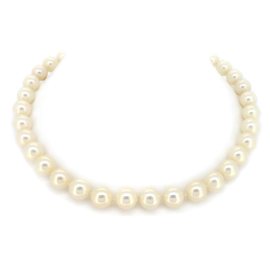 BMN60291 - Shell Pearl Necklace - Statement Necklace